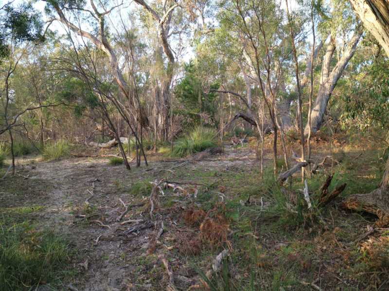 Bushwalk photo2